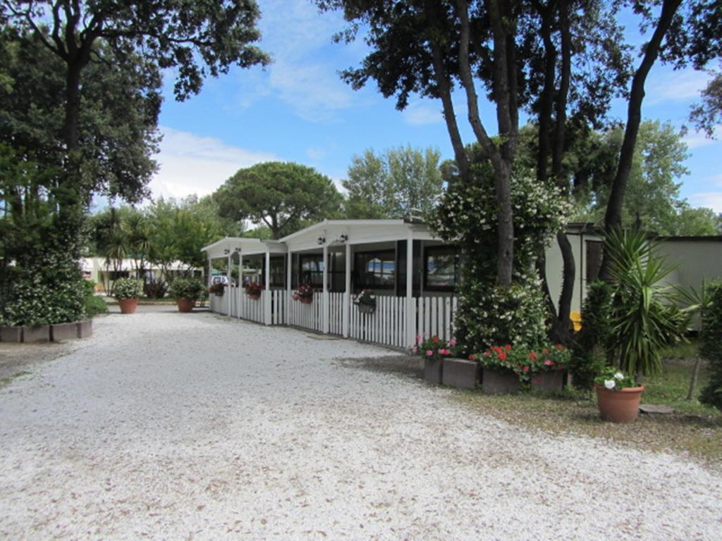 Camping Pineta Calambrone